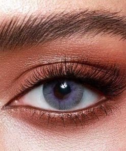 ⁦Bella, Elite,  Lavender Grey⁩ - الصورة ⁦2⁩