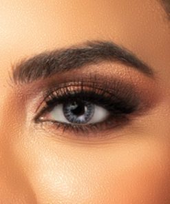 Alternative view of Freshlook, One Day, Daily Gray